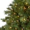 6ft. Pre-Lit Wyoming Mixed Pine Artificial Christmas Tree, Clear LED Lights